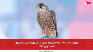 مزرعة BG FALCONS التشيكية تبيع كل صقورها بمزاد الصقور السعودي 2025